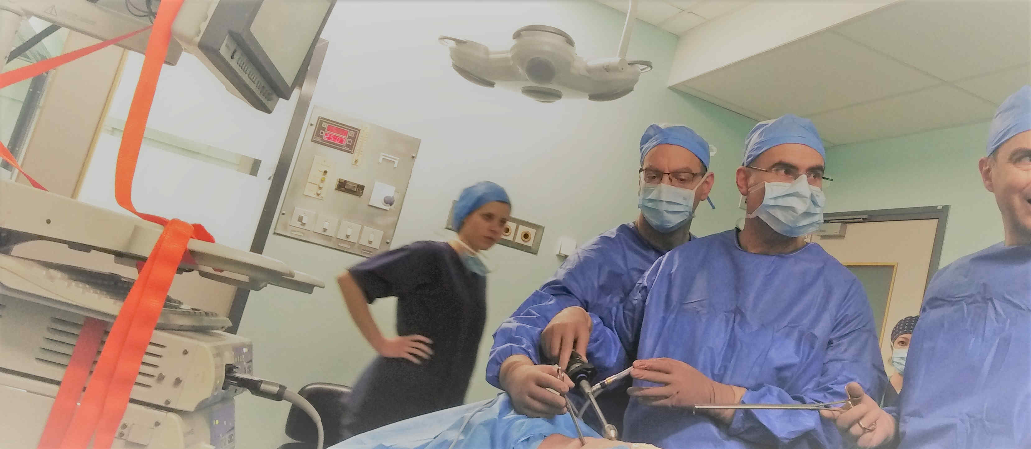 Video-assisted Thoracoscopic Surgery Cadaveric Dissection Course - Node ...